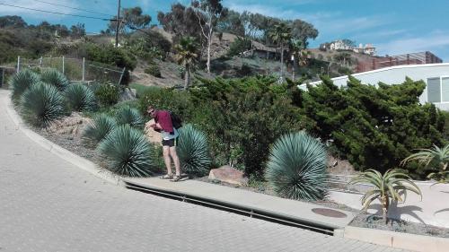 20138033_10207996596267132_342497283_o.jpg