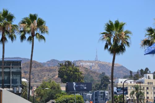 DSC_0129.jpg