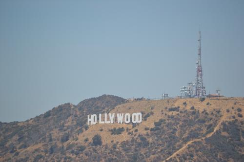 DSC_0235.jpg