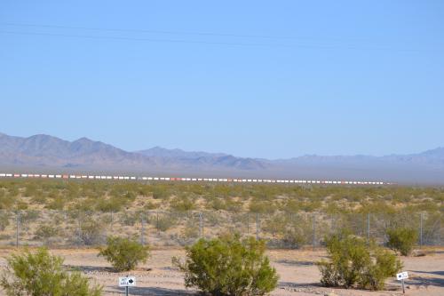 DSC_0252.jpg