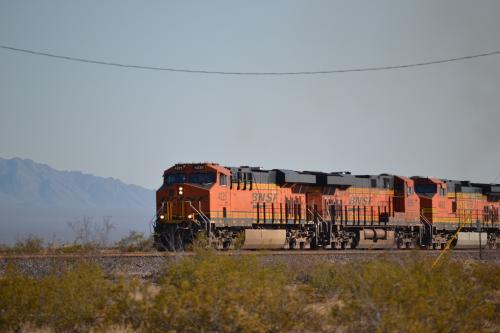 DSC_0261.jpg