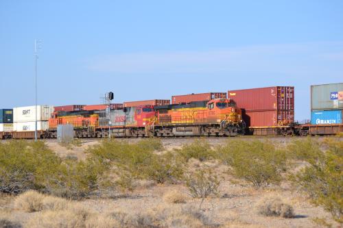 DSC_0272.jpg