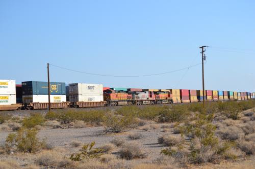 DSC_0273.jpg