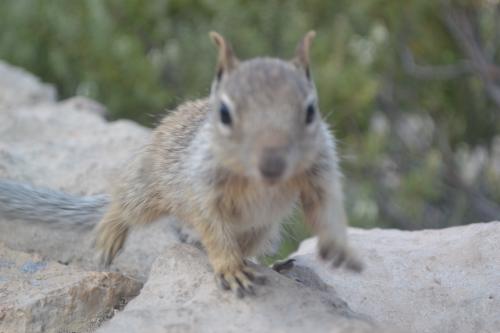 DSC_0604.jpg