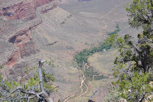 DSC_0588.jpg