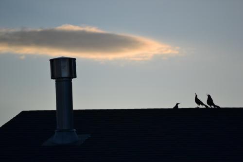 DSC_0673.jpg