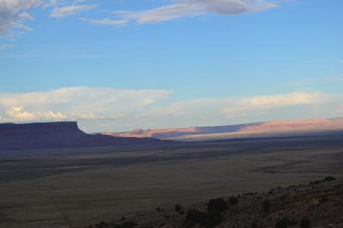 DSC_0771.jpg