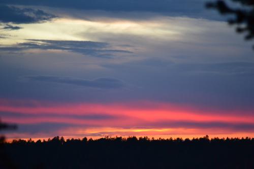 DSC_0779.jpg