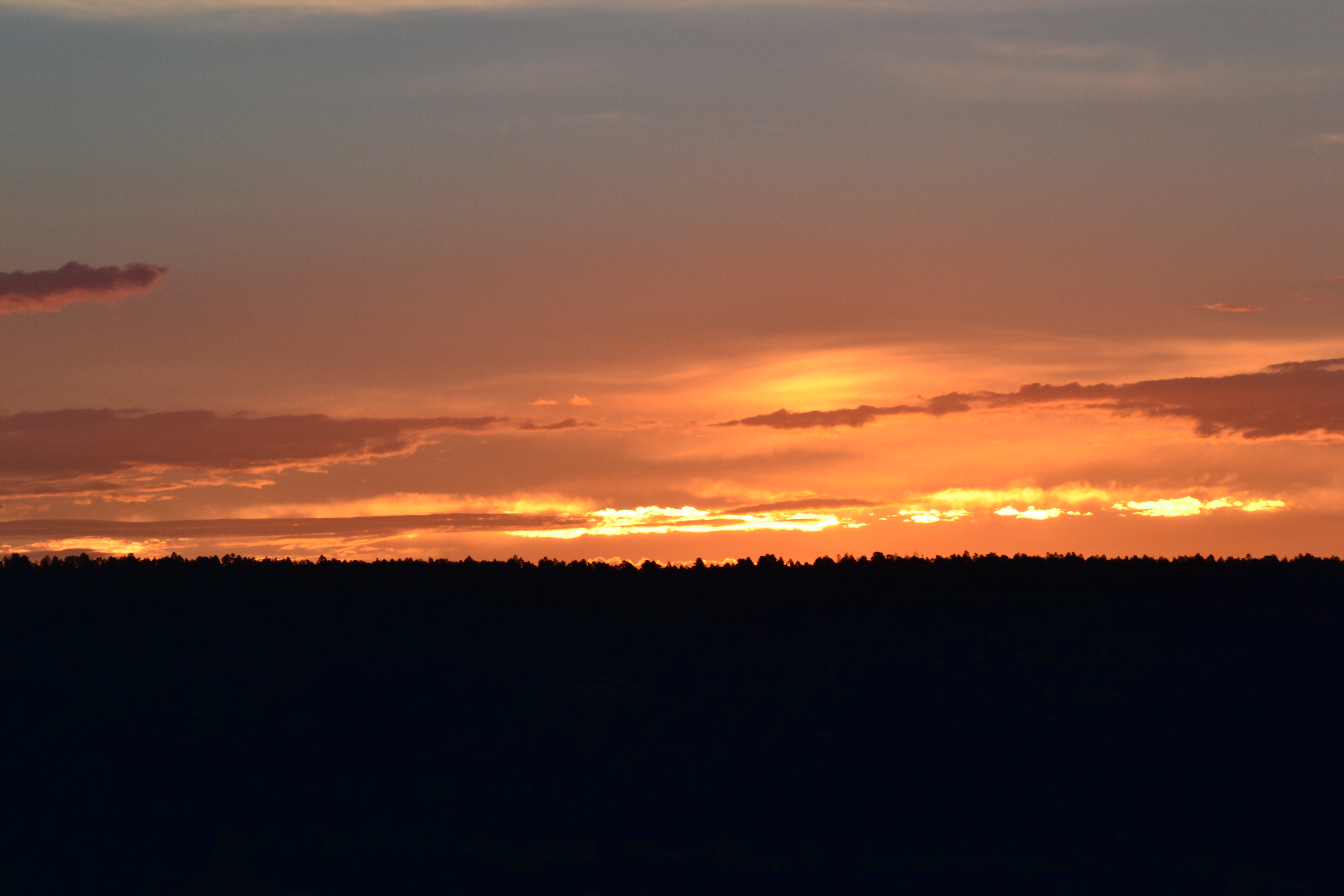 DSC_0788.jpg