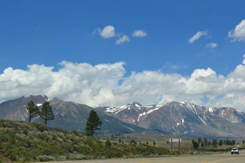 DSC_1337.jpg