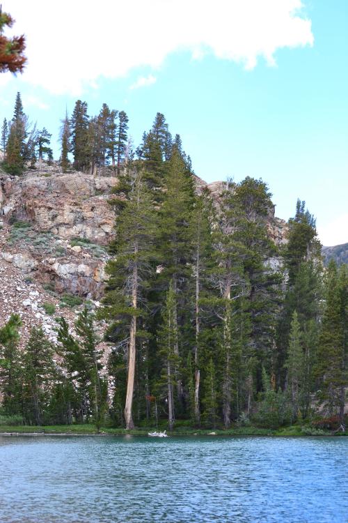 DSC_1438-e1502381173204.jpg