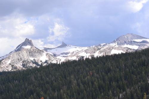 DSC_1481.jpg