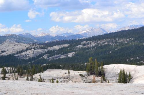 DSC_1483.jpg