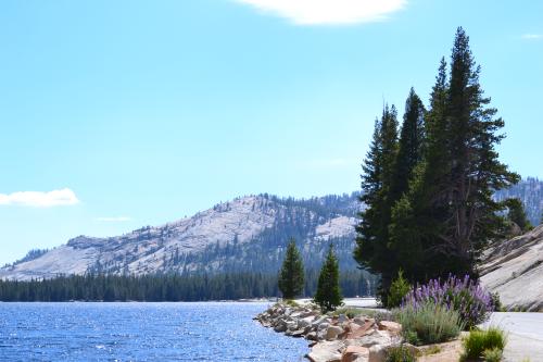 DSC_1506.jpg