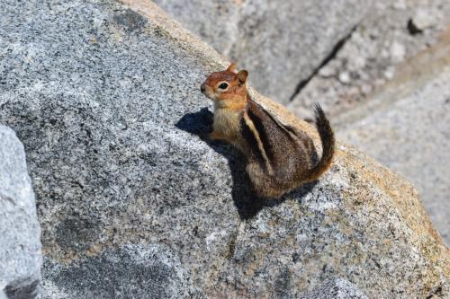 DSC_1523.jpg