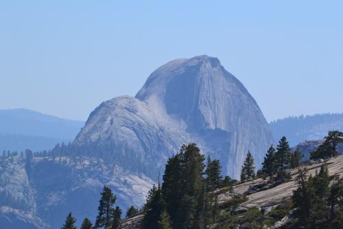 DSC_1534.jpg