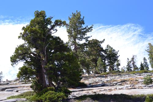 DSC_1537.jpg