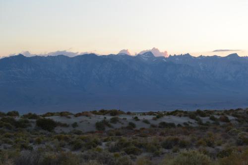DSC_1333.jpg