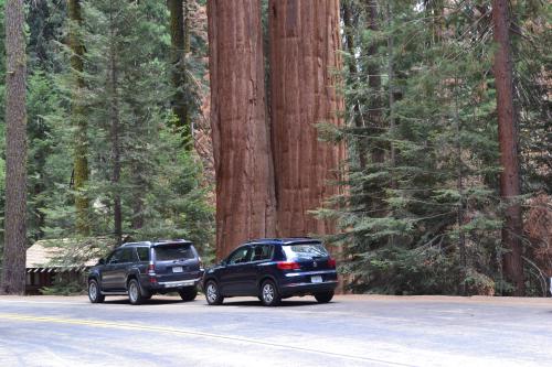 DSC_1640.jpg