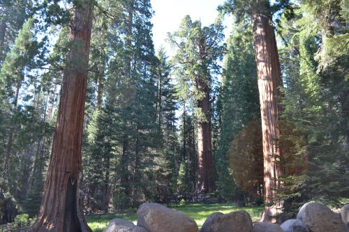 DSC_1695.jpg