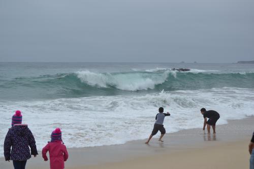DSC_1794.jpg