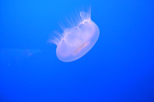 DSC_1901.jpg