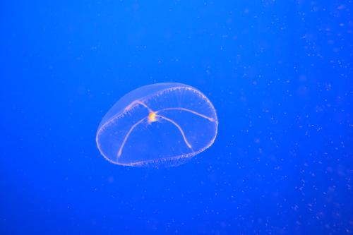 DSC_1909.jpg