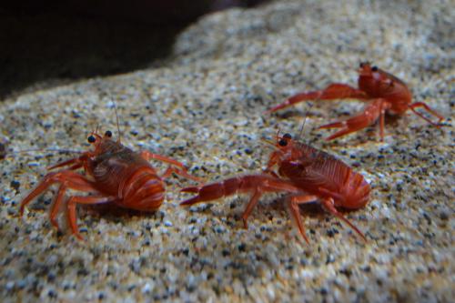 DSC_1920.jpg