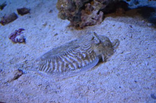 DSC_1964.jpg